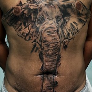 FTM Double Incision Scar cover up - Sketchy Elephant