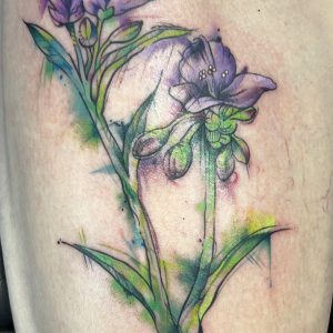 Watercolour Ohio spiderwort over scar